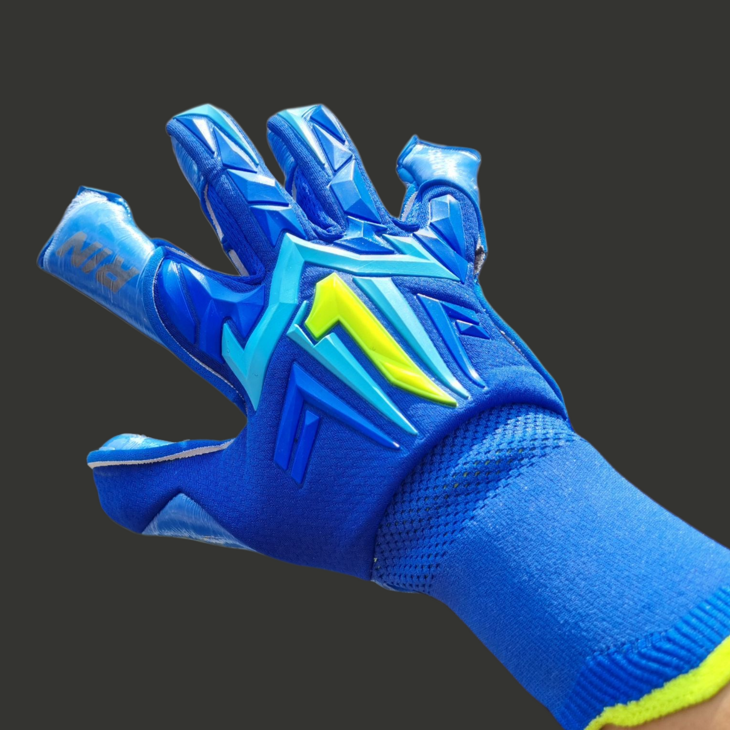 RINAT- Aries X PRO